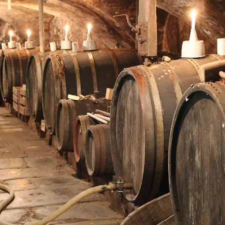 Alte Schmiede Zu Trarbach 公寓 特拉本特拉巴赫