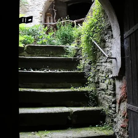 Alte Schmiede Zu Trarbach 特拉本特拉巴赫