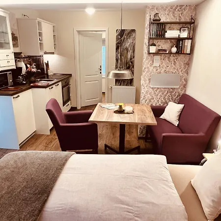 公寓 Alte Schmiede Zu Trarbach 特拉本特拉巴赫