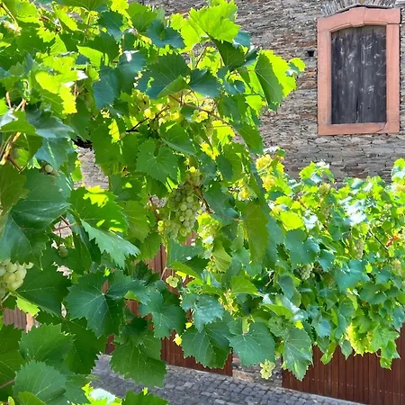 Alte Schmiede Zu Trarbach Apartamento *
