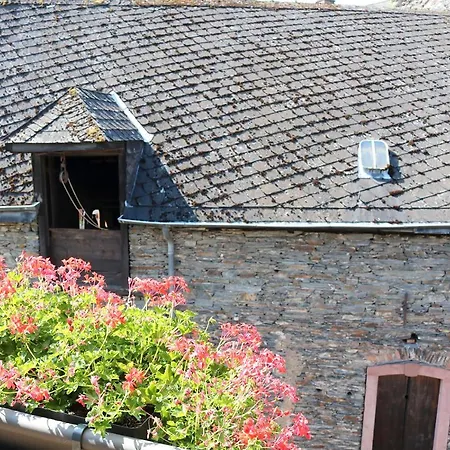 公寓 Alte Schmiede Zu Trarbach
