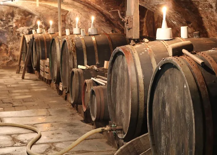 Alte Schmiede Zu Trarbach Διαμέρισμα Traben-Trarbach