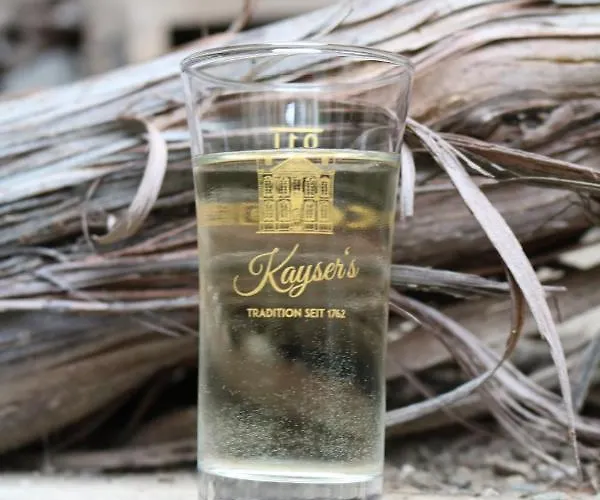 Alte Schmiede Zu Trarbach Apartamento *