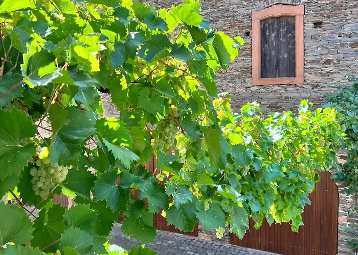 Alte Schmiede Zu Trarbach Apartamento *